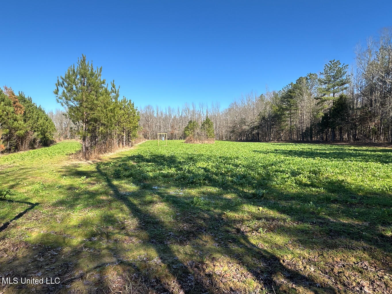 4120 Co Road Sallis, MS 39160 - Photo 10 of 30 Attala 160-16