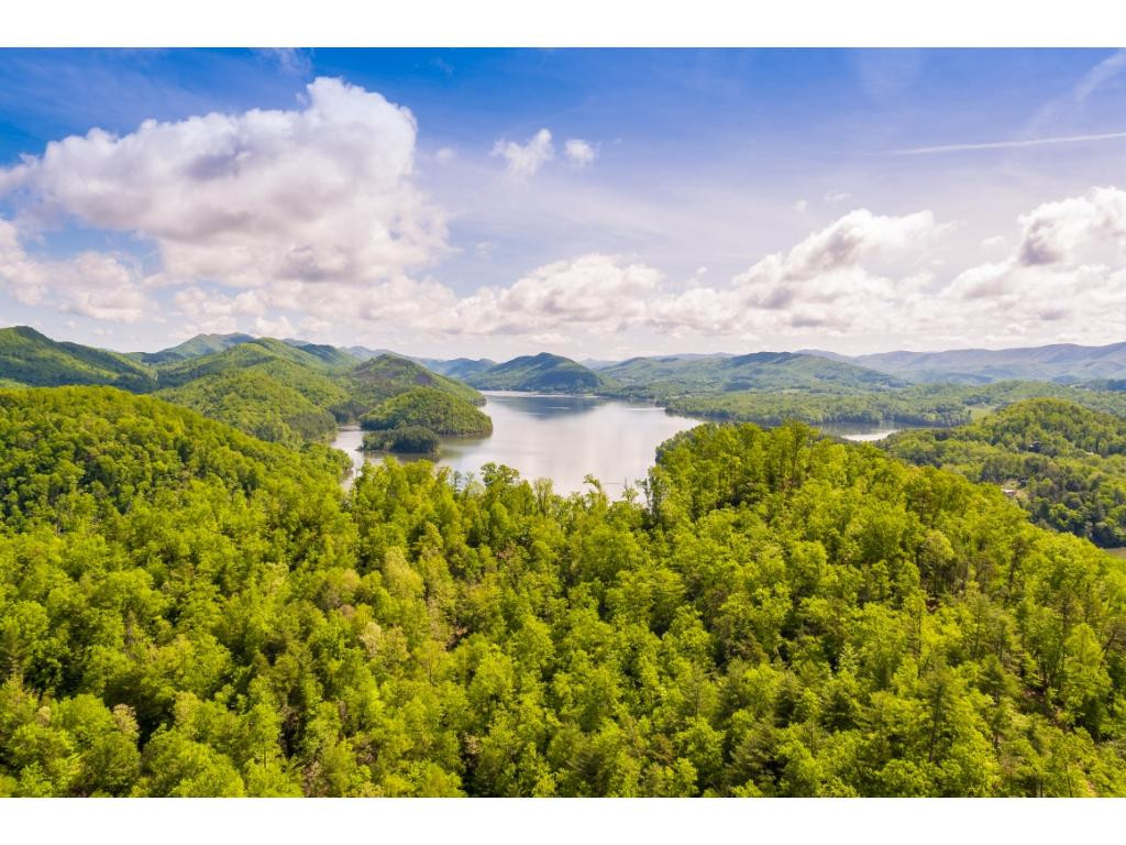 Tbd Clark Road Butler, TN 37640 - Photo 2 of 11 Photo 2