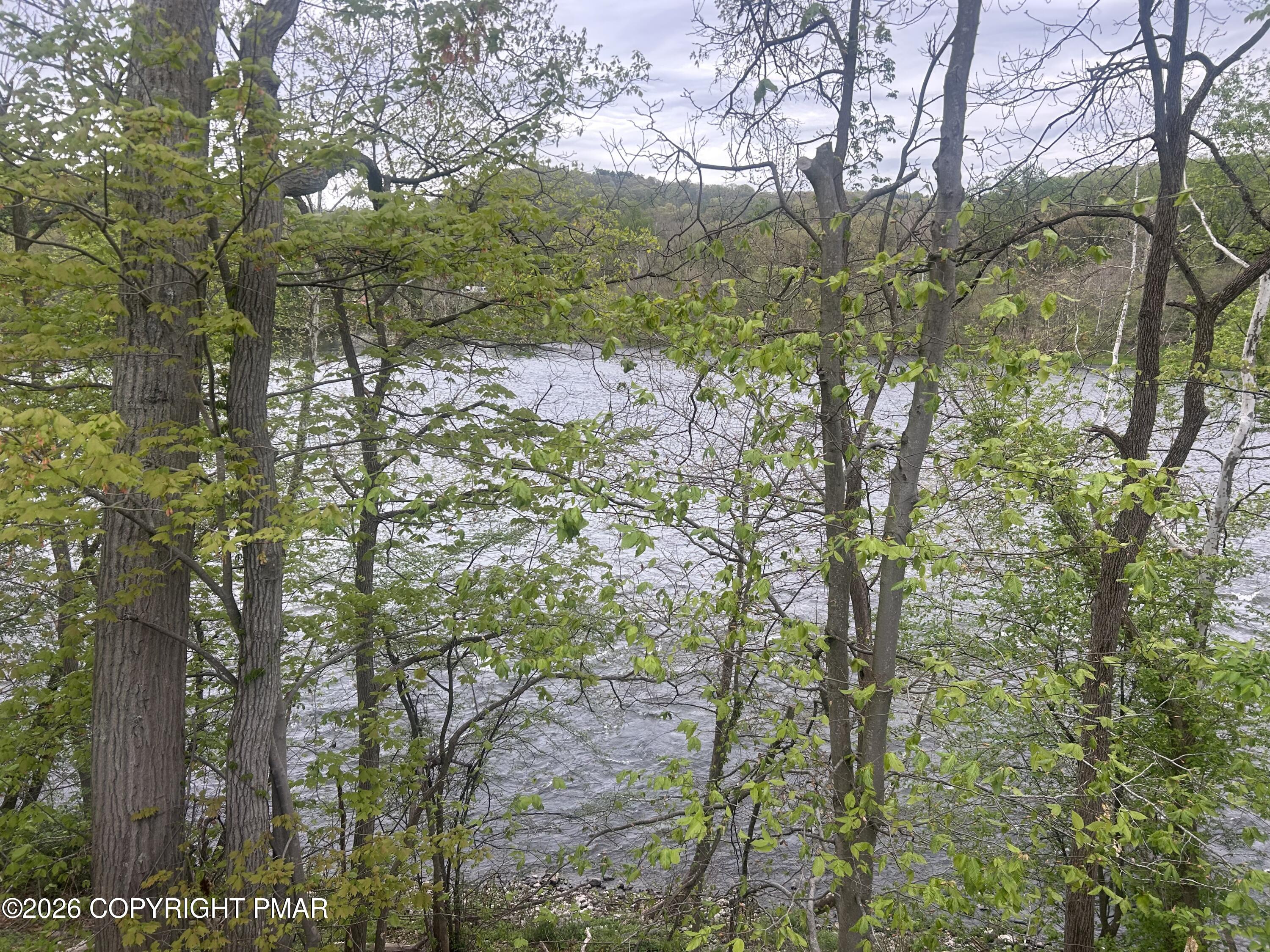 4379 River Road Mount Bethel, PA 18343 - Photo 11 of 48 a view of a forest that has a tree