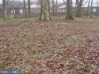 165 Flock Road Hamilton, NJ 08619 - Photo 3 of 6