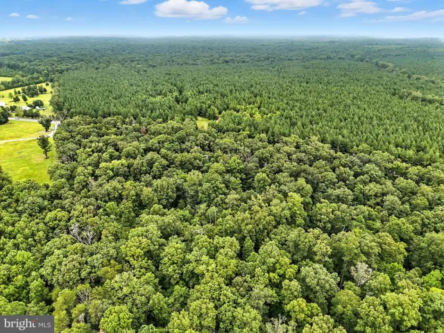 $215,000 | Zachary Taylor, Culpeper, VA 22701