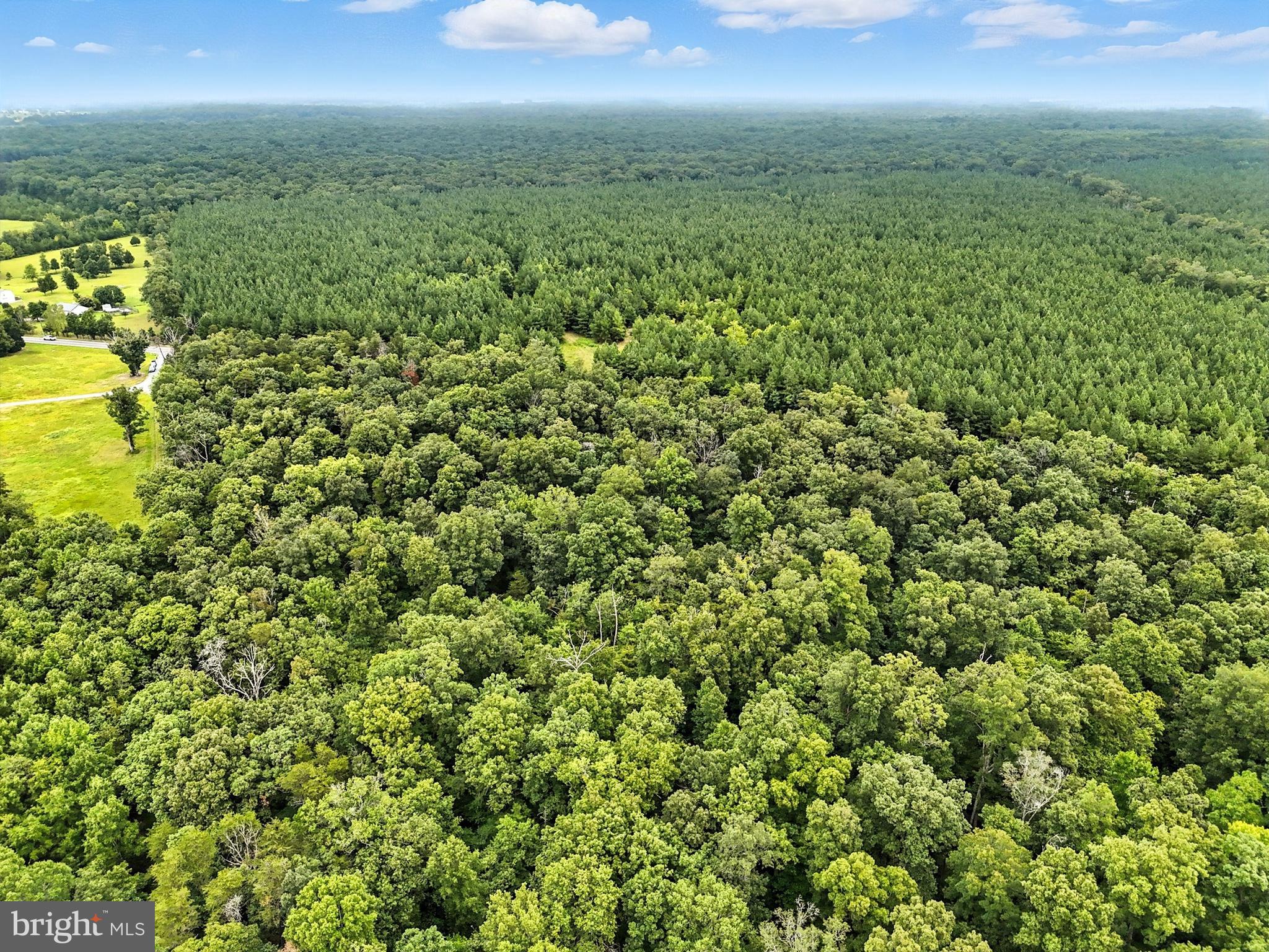 Zachary Taylor Culpeper, VA 22701 - Photo 7 of 11 a view of a field with an ocean