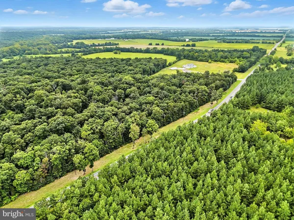 a view of a green yard with large trees