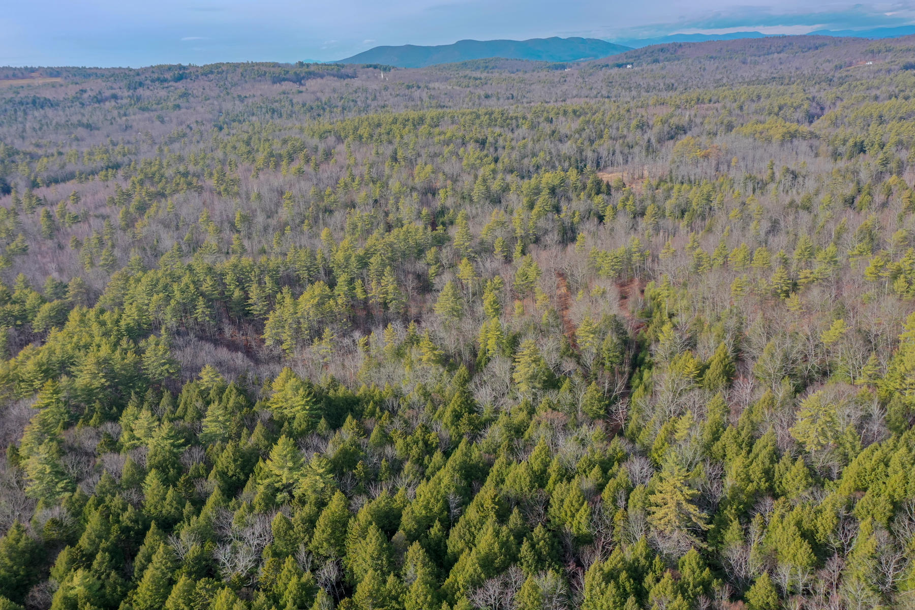 0 Grist Mill Road Bridgton, ME 04009 - Photo 37 of 48 Pic#-13
