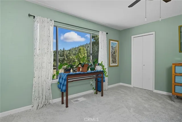 a bedroom with a bed and a closet