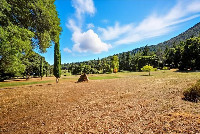 a view of a garden with a house
