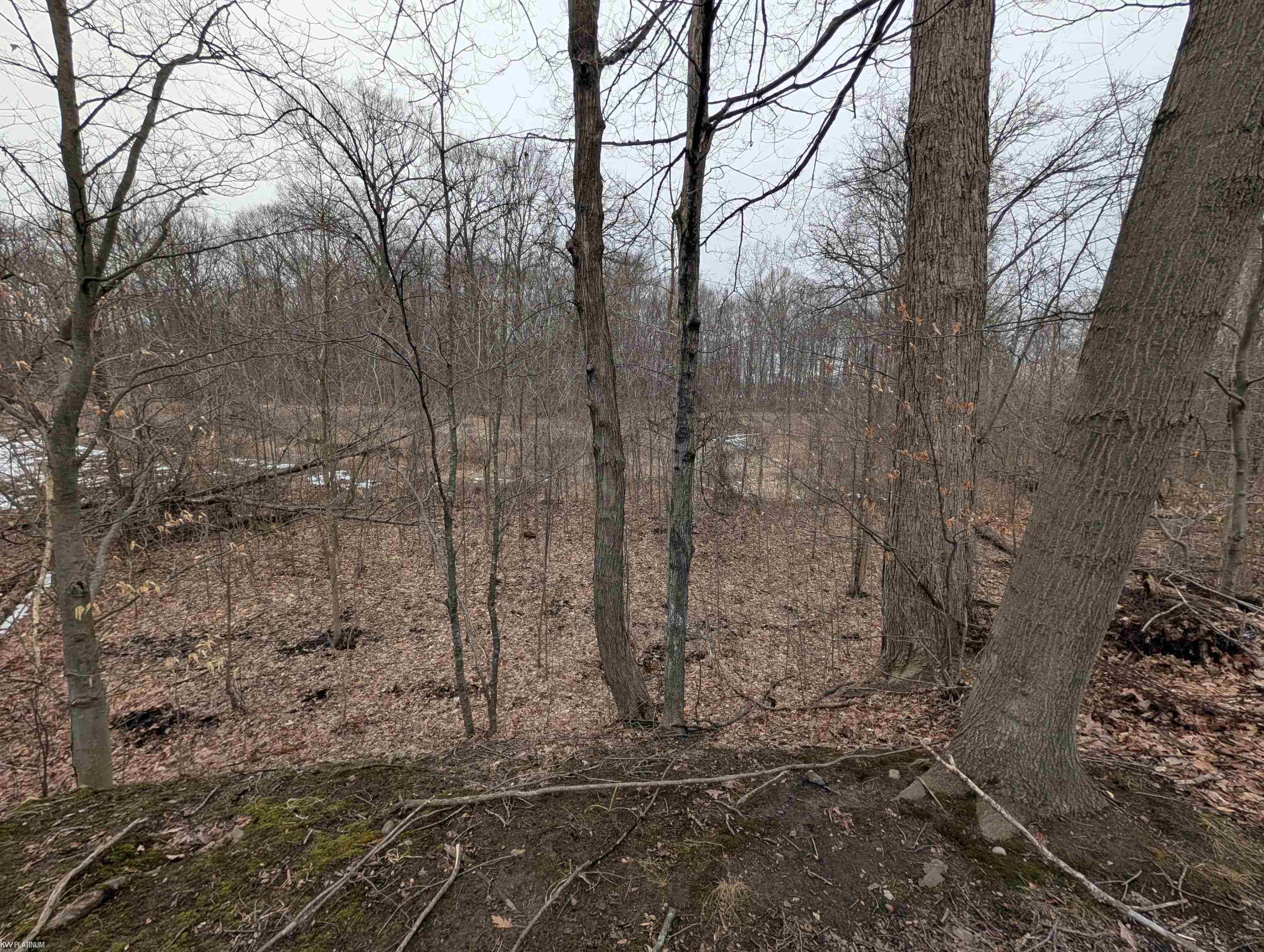 9072 Green Road Goodells, MI 48027 - Photo 41 of 73