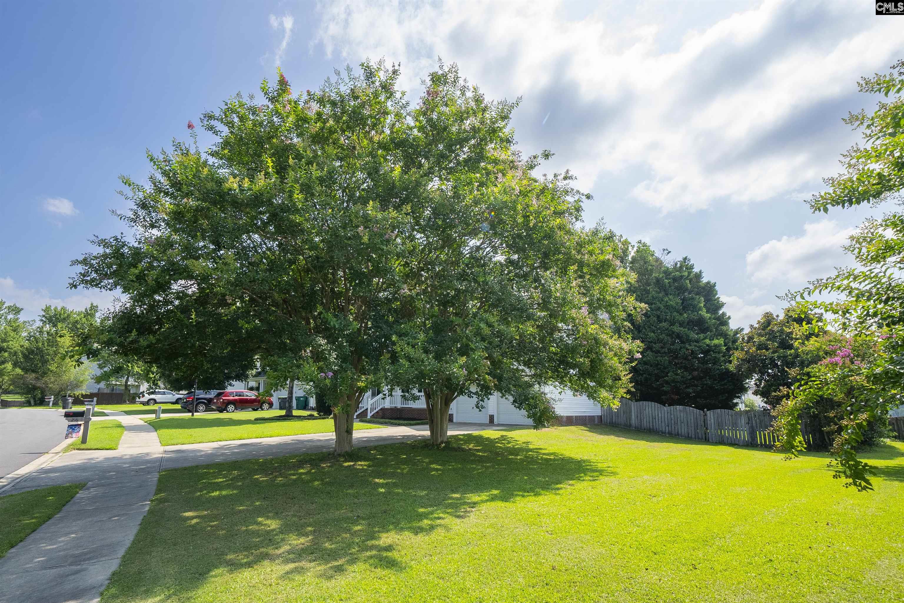 216 Faskin Lane Lexington, SC 29072 - Photo 7 of 60