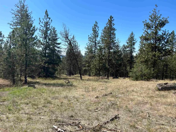 $139,000 | Nna Corkscrew Canyon Road, Tumtum, WA 99034