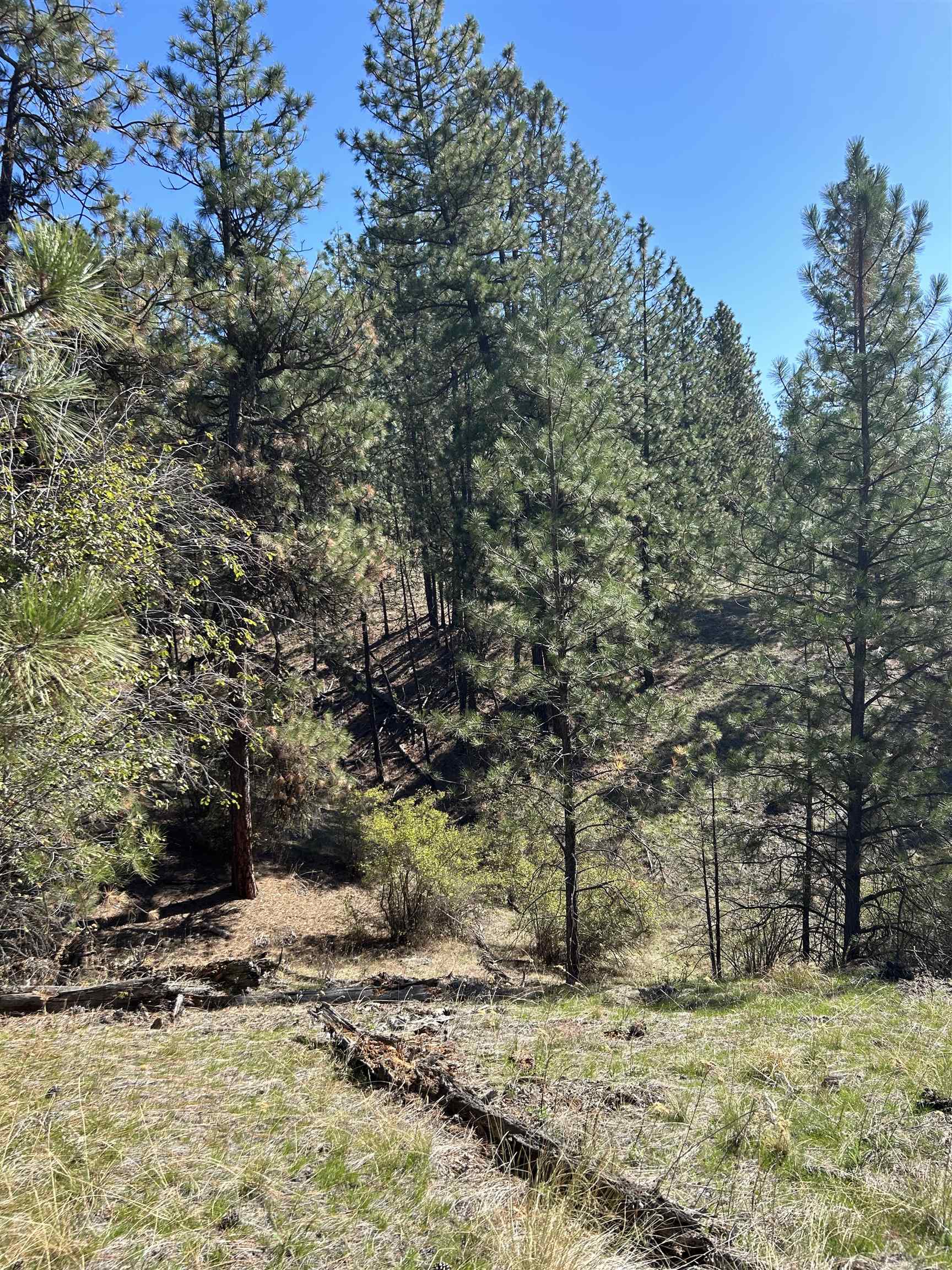 Nna Corkscrew Canyon Road Tumtum, WA 99034 - Photo 11 of 41