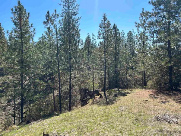 $139,000 | Nna Corkscrew Canyon Road, Tumtum, WA 99034