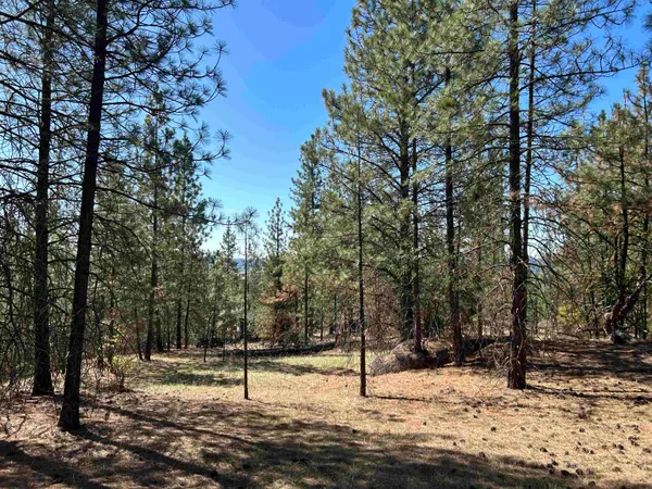 $139,000 | Nna Corkscrew Canyon Road, Tumtum, WA 99034