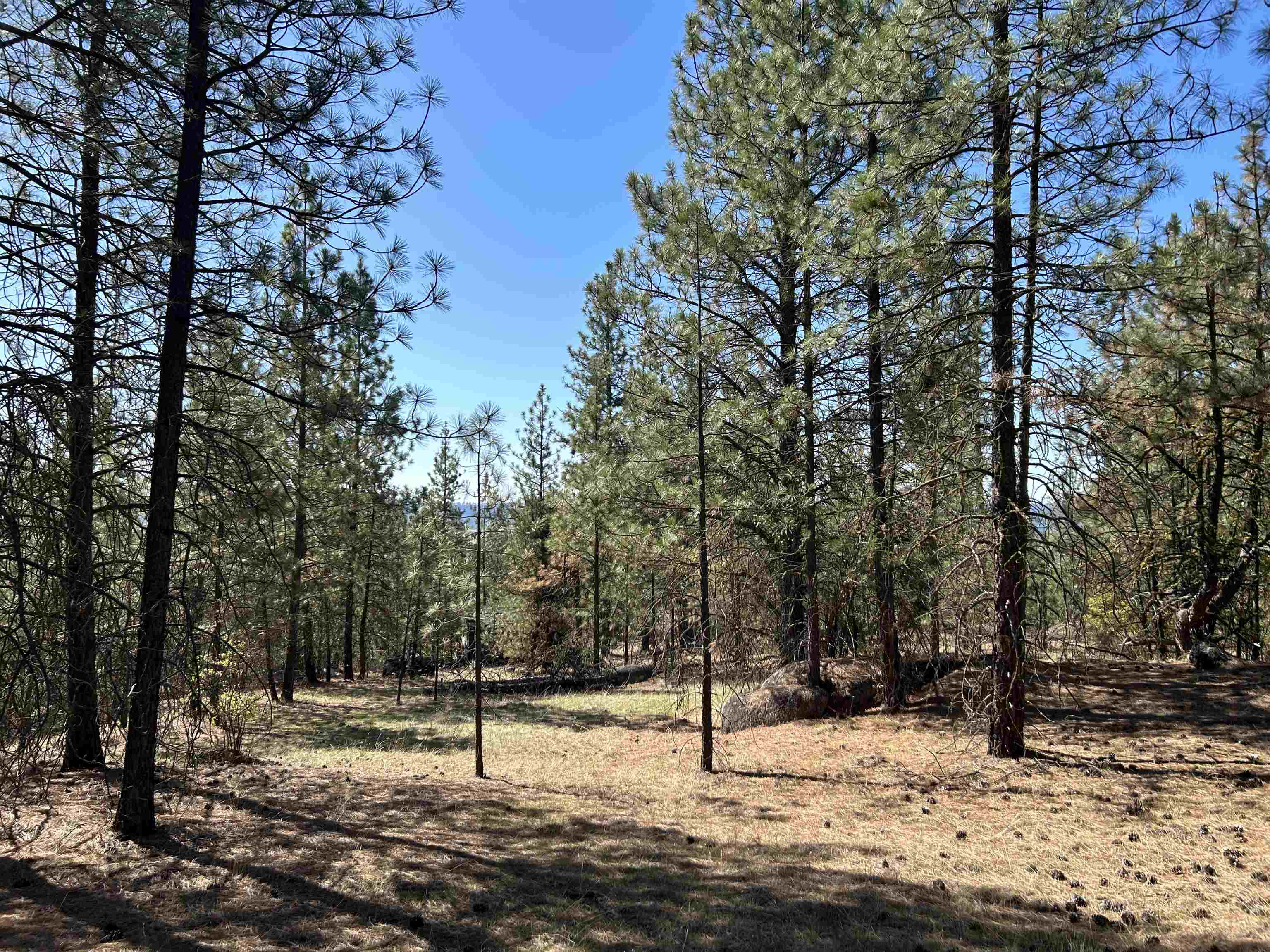 Nna Corkscrew Canyon Road Tumtum, WA 99034 - Photo 13 of 41