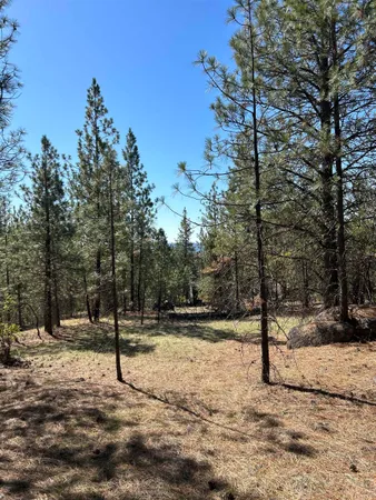 $139,000 | Nna Corkscrew Canyon Road, Tumtum, WA 99034