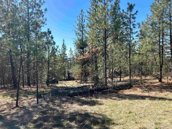 $139,000 | Nna Corkscrew Canyon Road, Tumtum, WA 99034