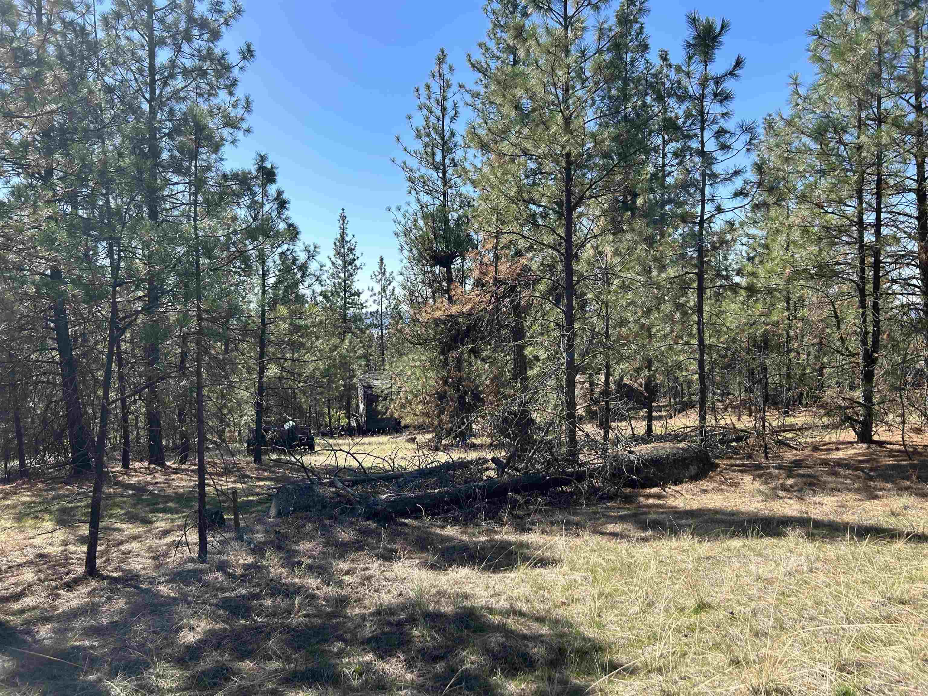 Nna Corkscrew Canyon Road Tumtum, WA 99034 - Photo 15 of 41