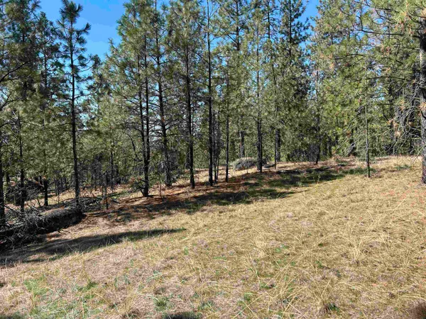 $139,000 | Nna Corkscrew Canyon Road, Tumtum, WA 99034