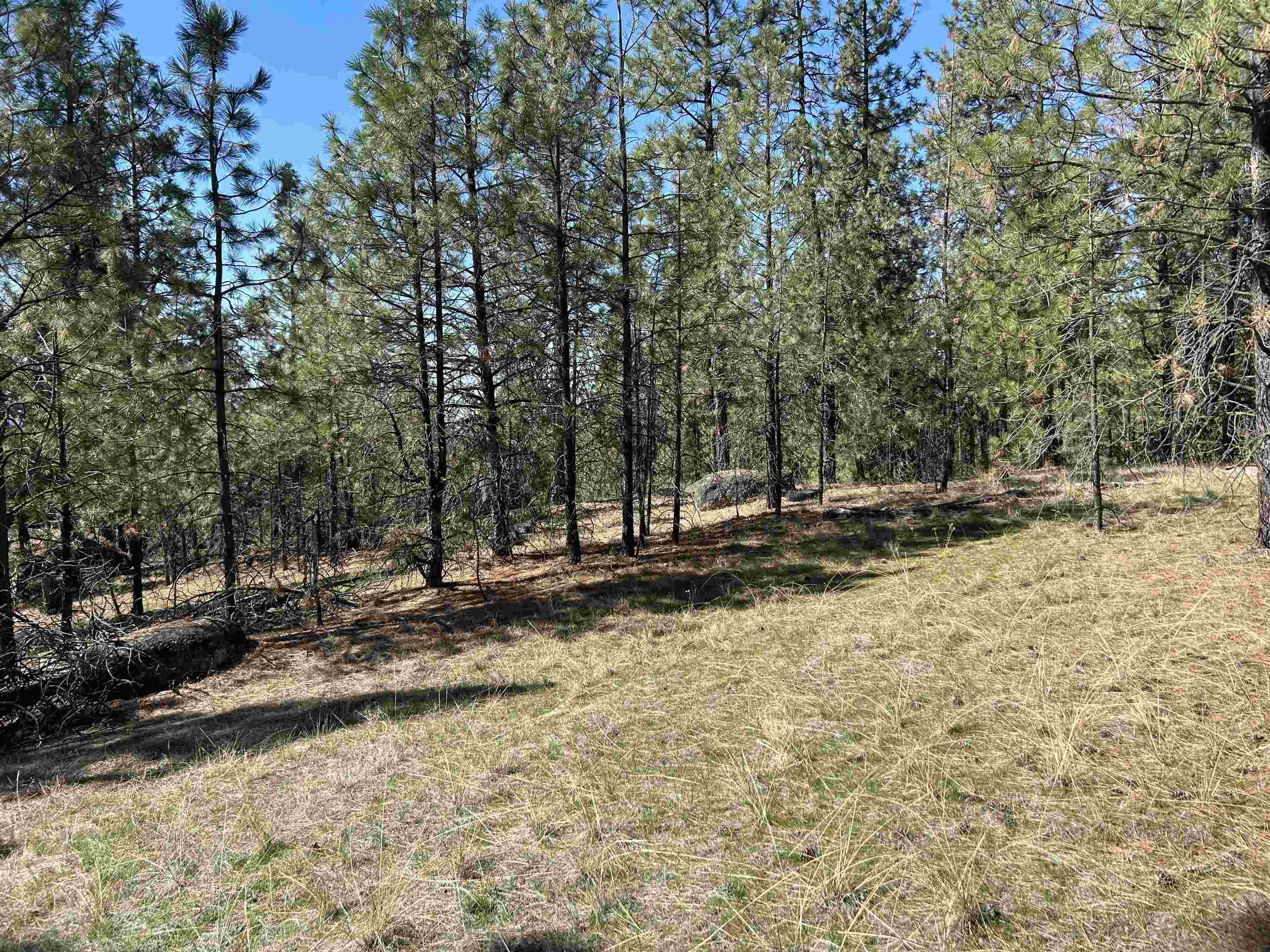 Nna Corkscrew Canyon Road Tumtum, WA 99034 - Photo 16 of 41