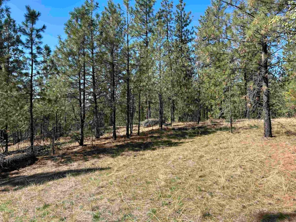 $139,000 | Nna Corkscrew Canyon Road, Tumtum, WA 99034