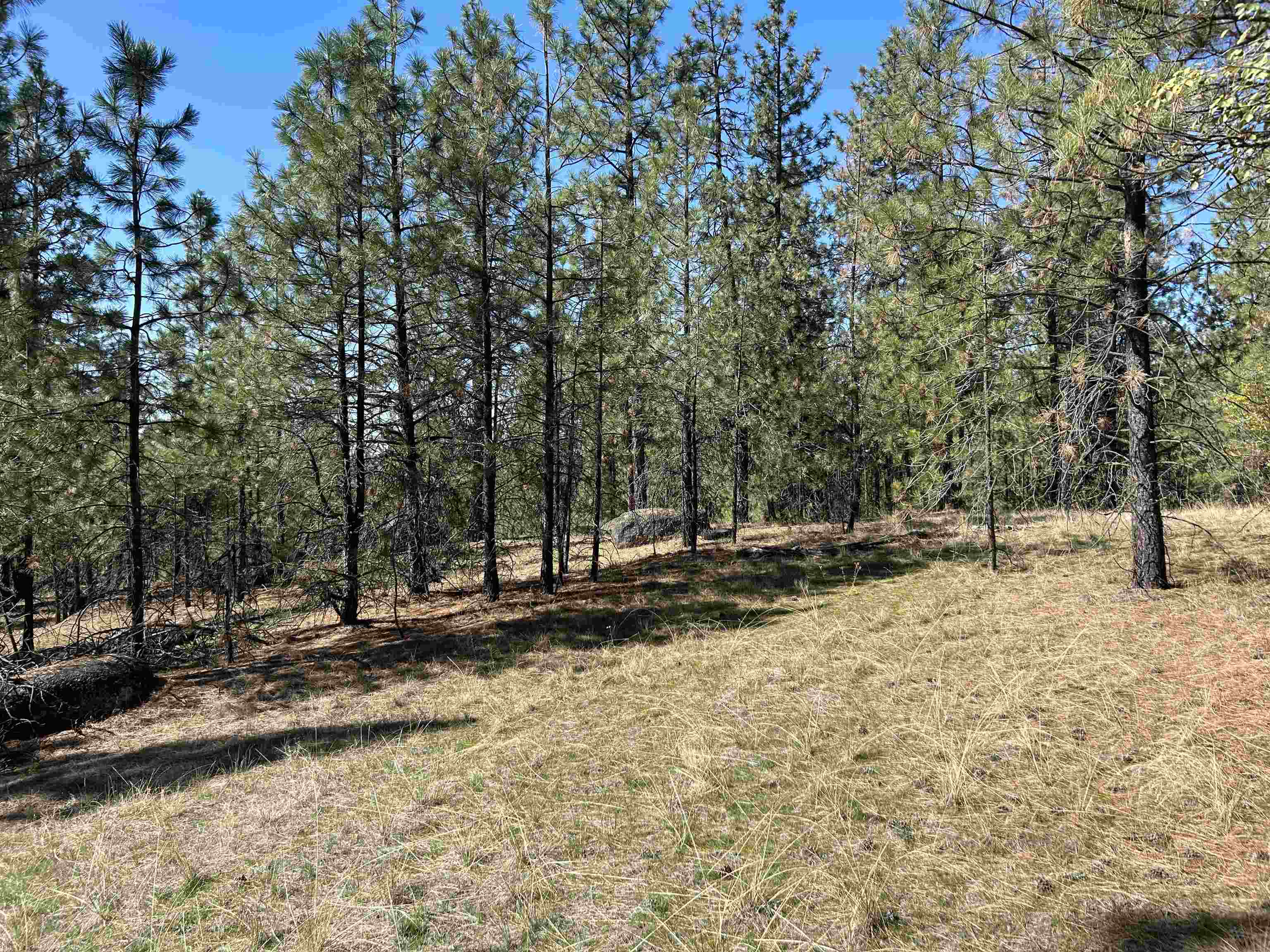 Nna Corkscrew Canyon Road Tumtum, WA 99034 - Photo 17 of 41