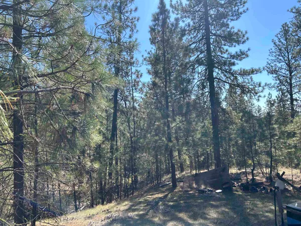 $139,000 | Nna Corkscrew Canyon Road, Tumtum, WA 99034