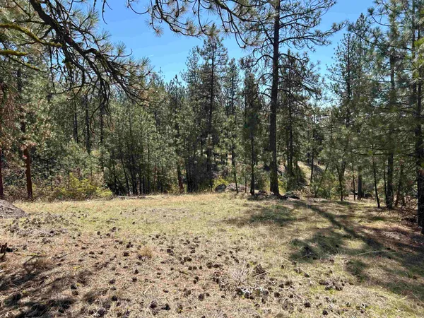 $139,000 | Nna Corkscrew Canyon Road, Tumtum, WA 99034