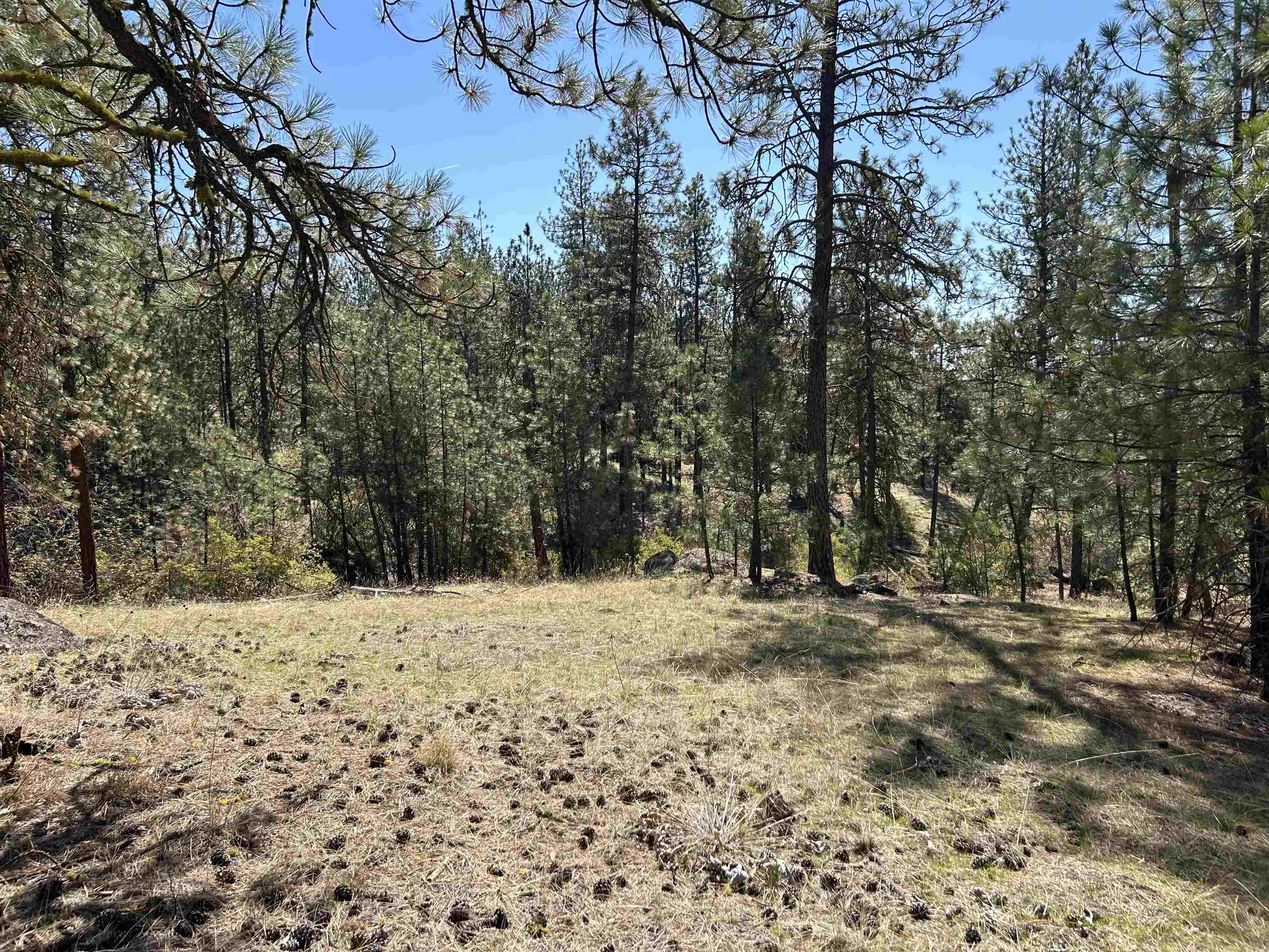 Nna Corkscrew Canyon Road Tumtum, WA 99034 - Photo 19 of 41