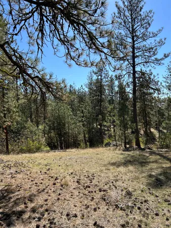 $139,000 | Nna Corkscrew Canyon Road, Tumtum, WA 99034