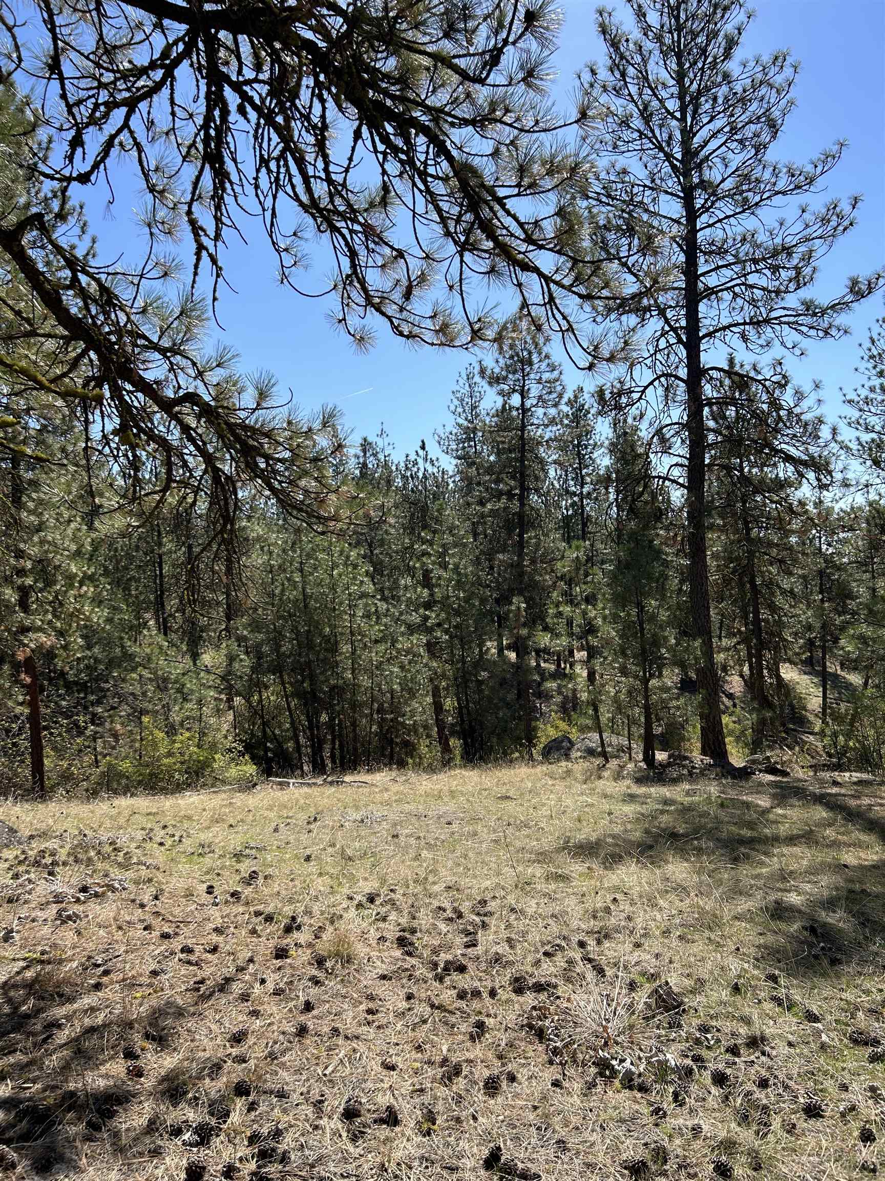 Nna Corkscrew Canyon Road Tumtum, WA 99034 - Photo 20 of 41