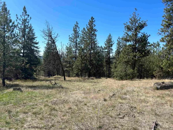 $139,000 | Nna Corkscrew Canyon Road, Tumtum, WA 99034