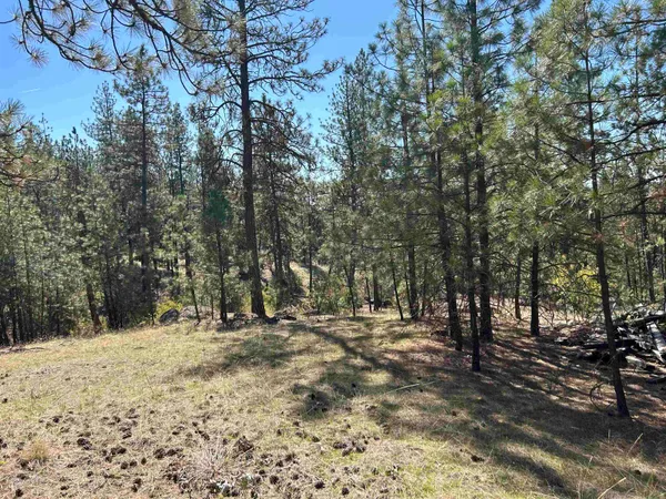 $139,000 | Nna Corkscrew Canyon Road, Tumtum, WA 99034