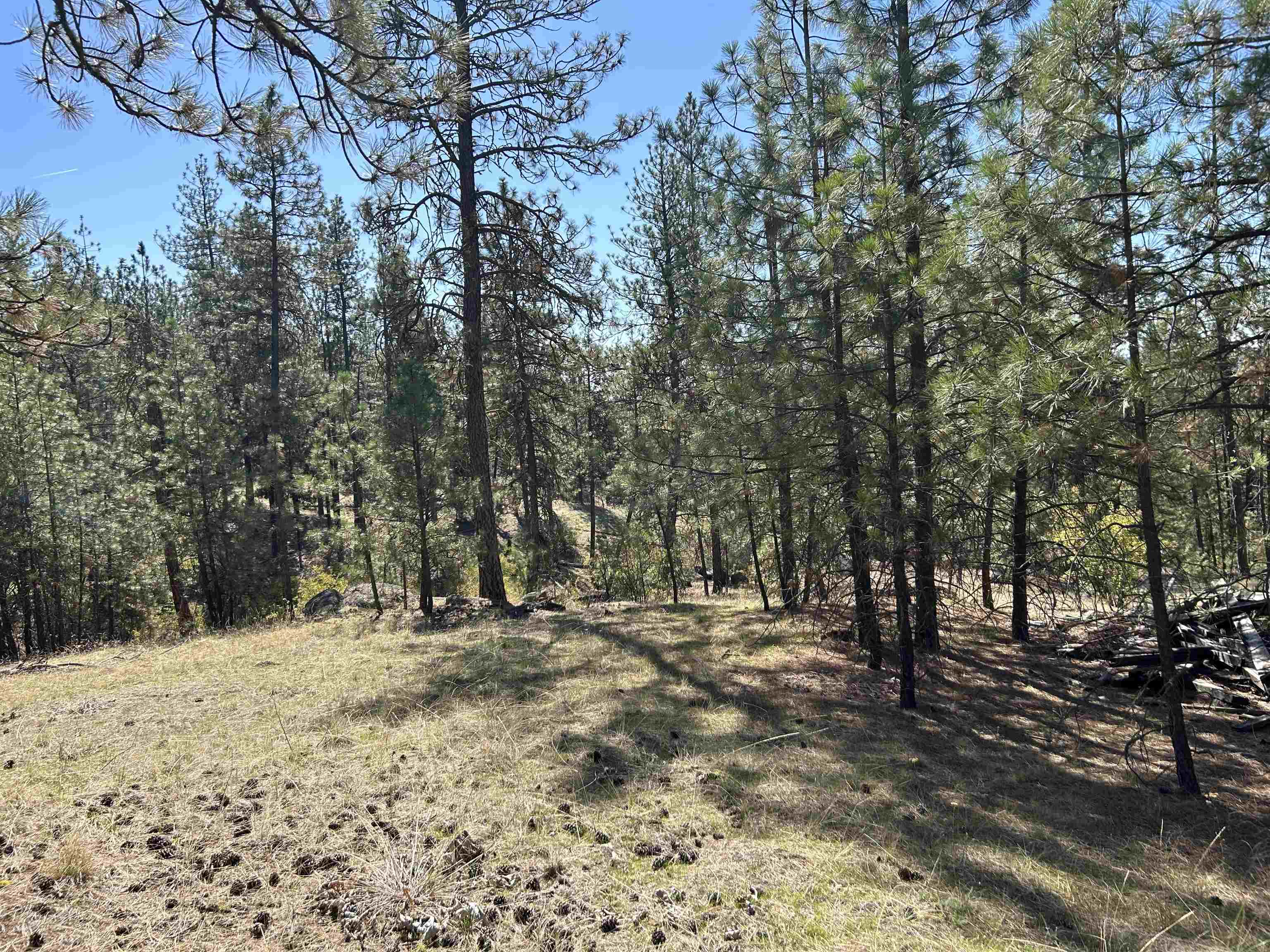 Nna Corkscrew Canyon Road Tumtum, WA 99034 - Photo 21 of 41