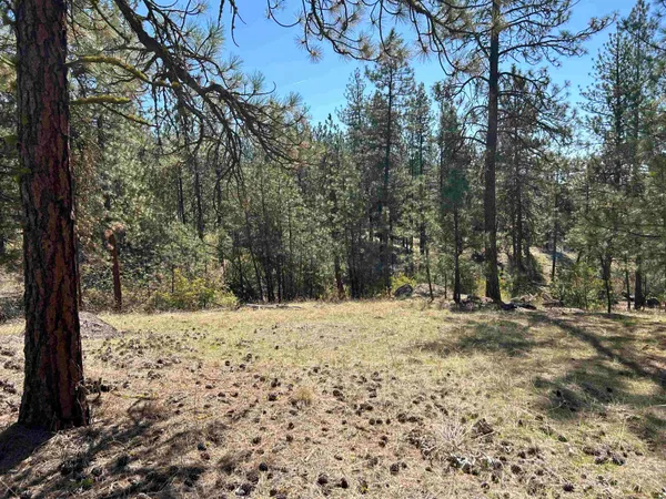 $139,000 | Nna Corkscrew Canyon Road, Tumtum, WA 99034