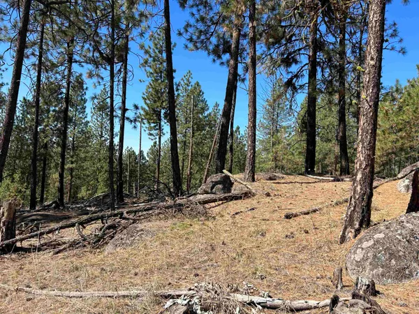 $139,000 | Nna Corkscrew Canyon Road, Tumtum, WA 99034