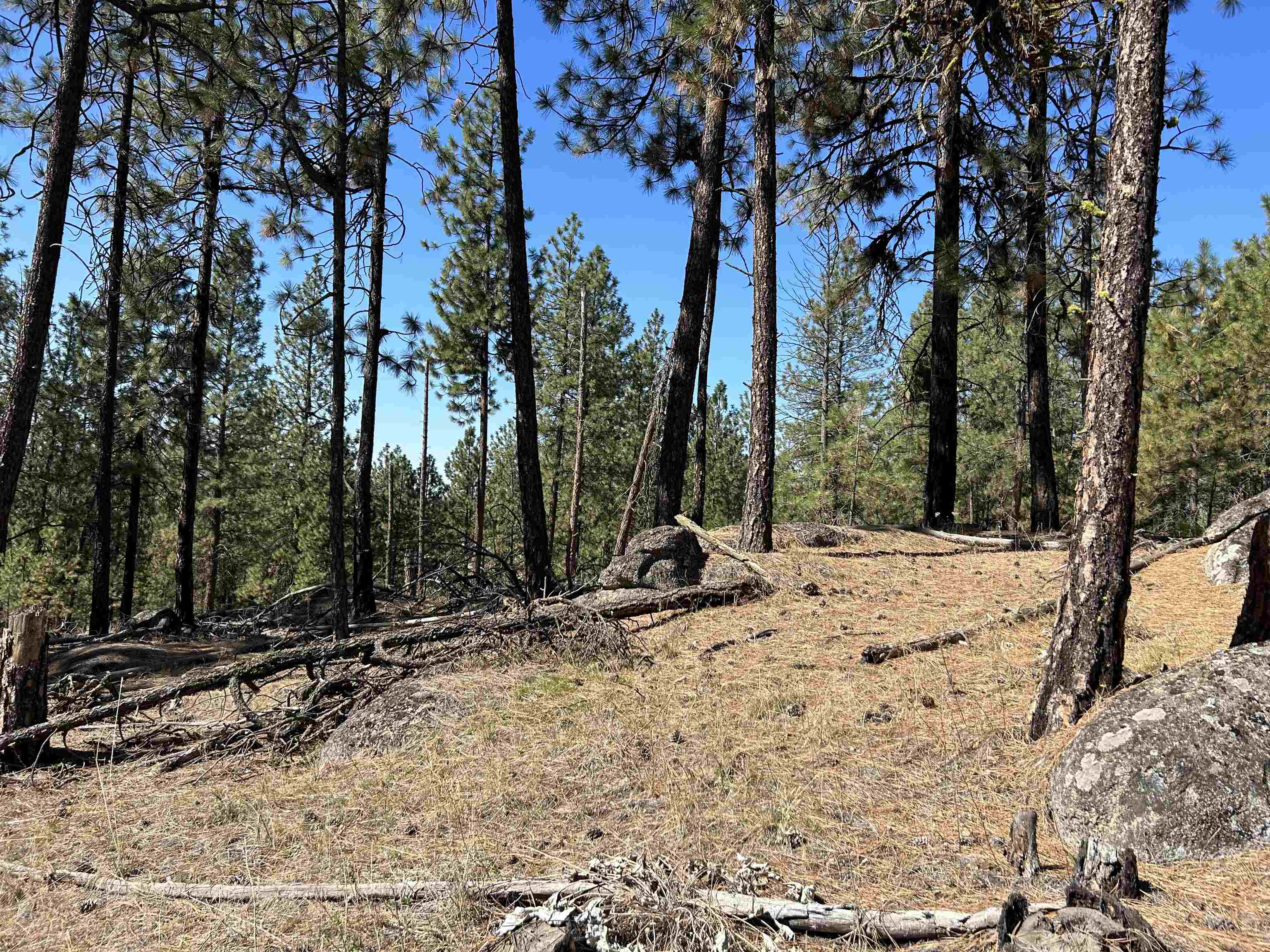 Nna Corkscrew Canyon Road Tumtum, WA 99034 - Photo 23 of 41