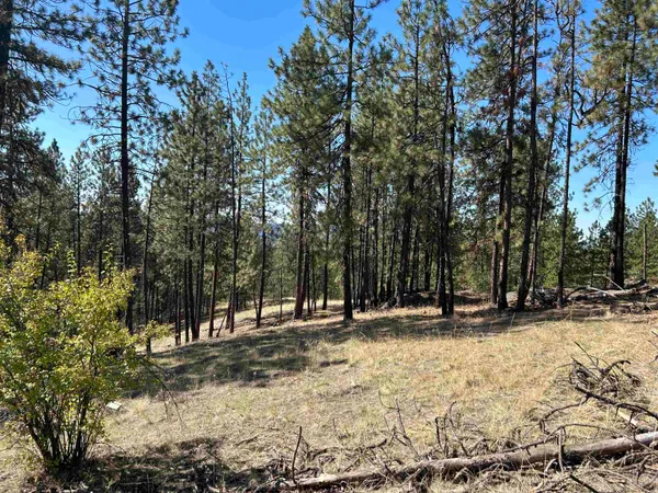 $139,000 | Nna Corkscrew Canyon Road, Tumtum, WA 99034