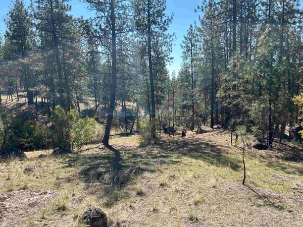 $139,000 | Nna Corkscrew Canyon Road, Tumtum, WA 99034