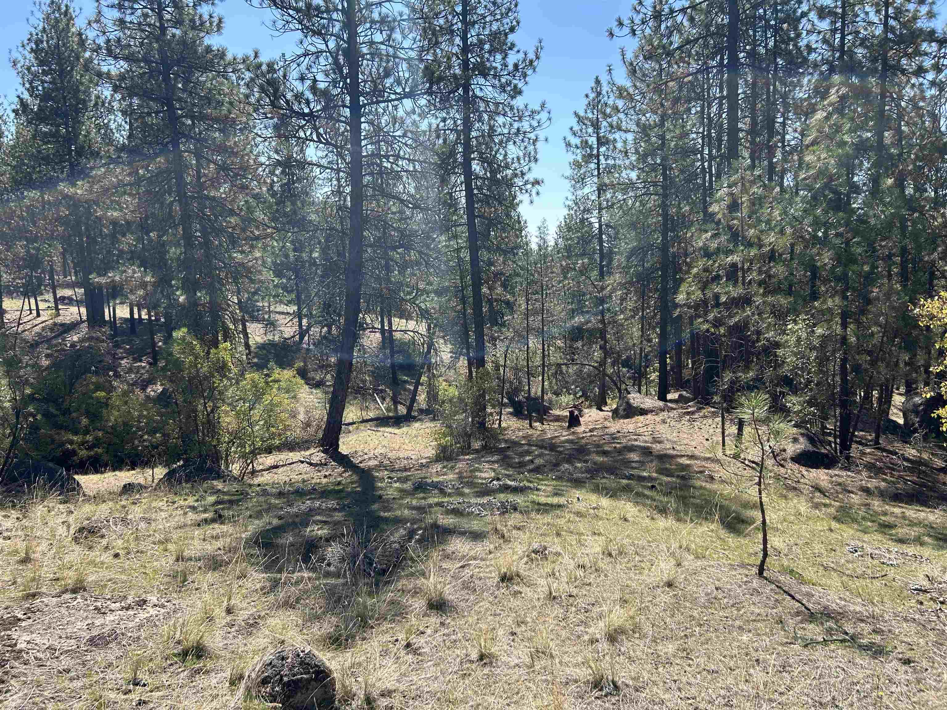 Nna Corkscrew Canyon Road Tumtum, WA 99034 - Photo 25 of 41