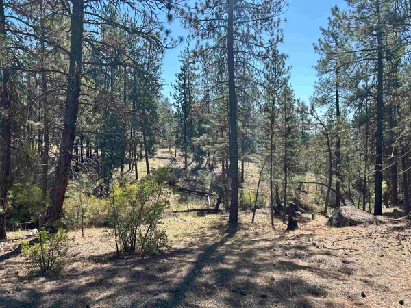 $139,000 | Nna Corkscrew Canyon Road, Tumtum, WA 99034