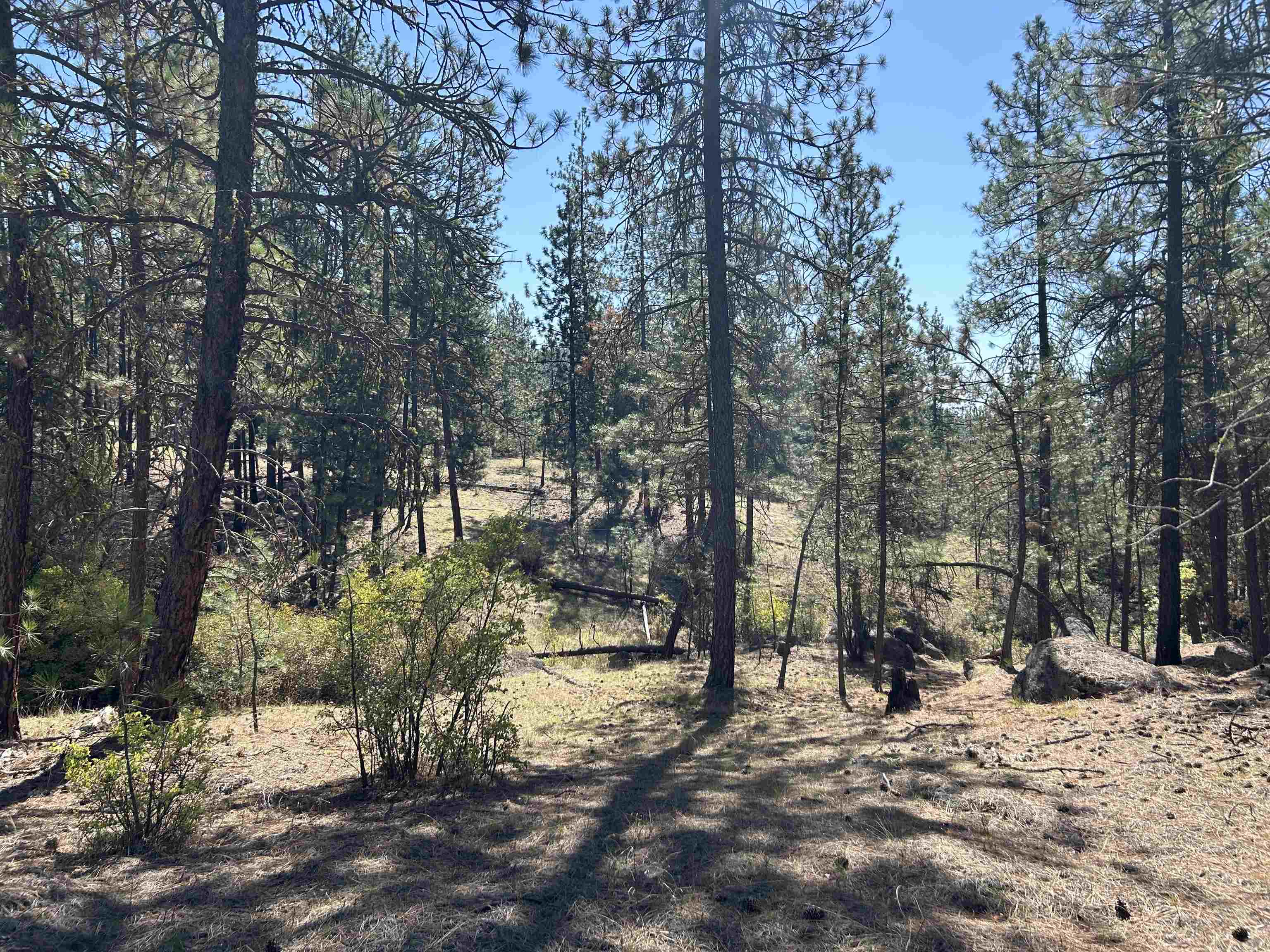 Nna Corkscrew Canyon Road Tumtum, WA 99034 - Photo 26 of 41