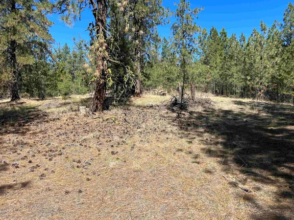 $139,000 | Nna Corkscrew Canyon Road, Tumtum, WA 99034