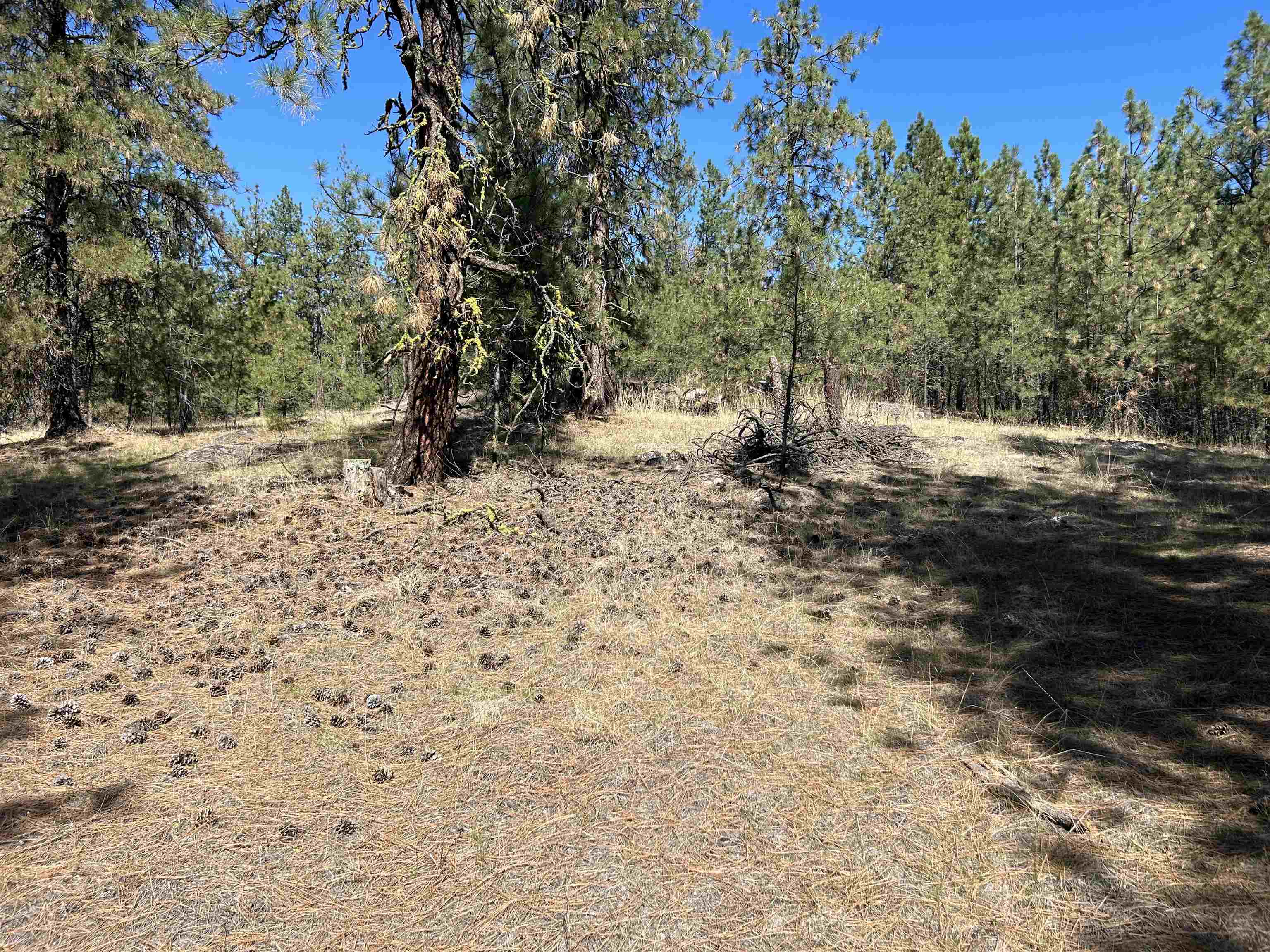 Nna Corkscrew Canyon Road Tumtum, WA 99034 - Photo 27 of 41