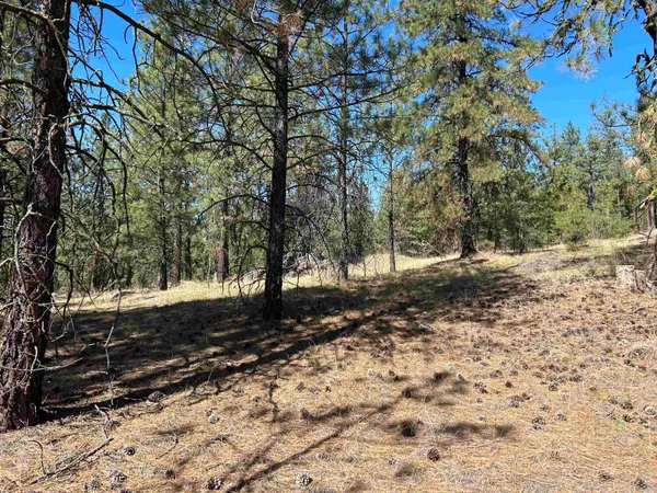 $139,000 | Nna Corkscrew Canyon Road, Tumtum, WA 99034