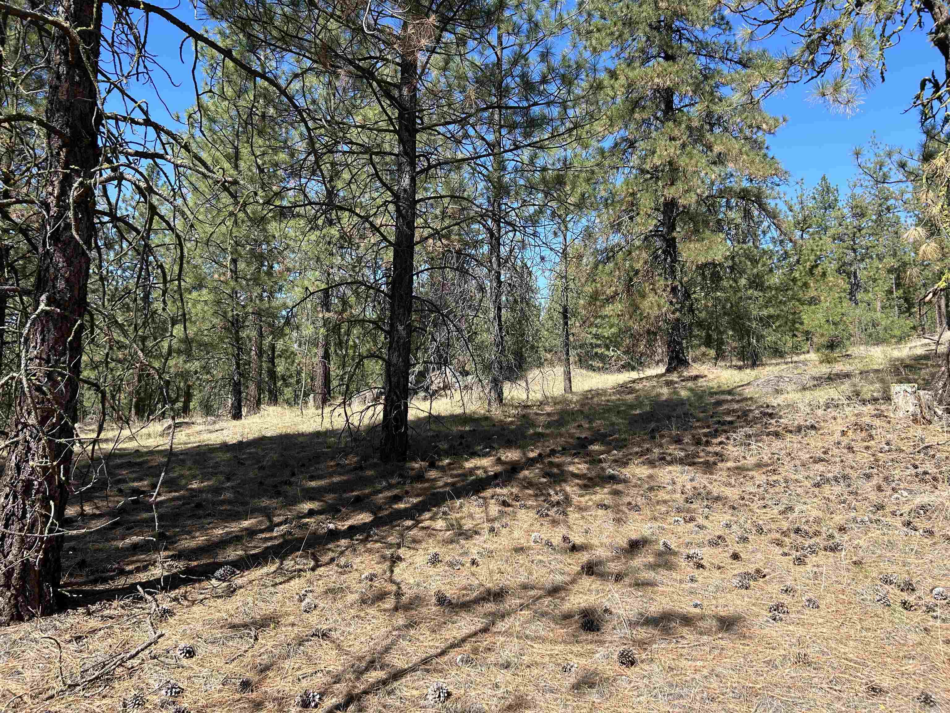 Nna Corkscrew Canyon Road Tumtum, WA 99034 - Photo 28 of 41