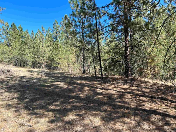 $139,000 | Nna Corkscrew Canyon Road, Tumtum, WA 99034