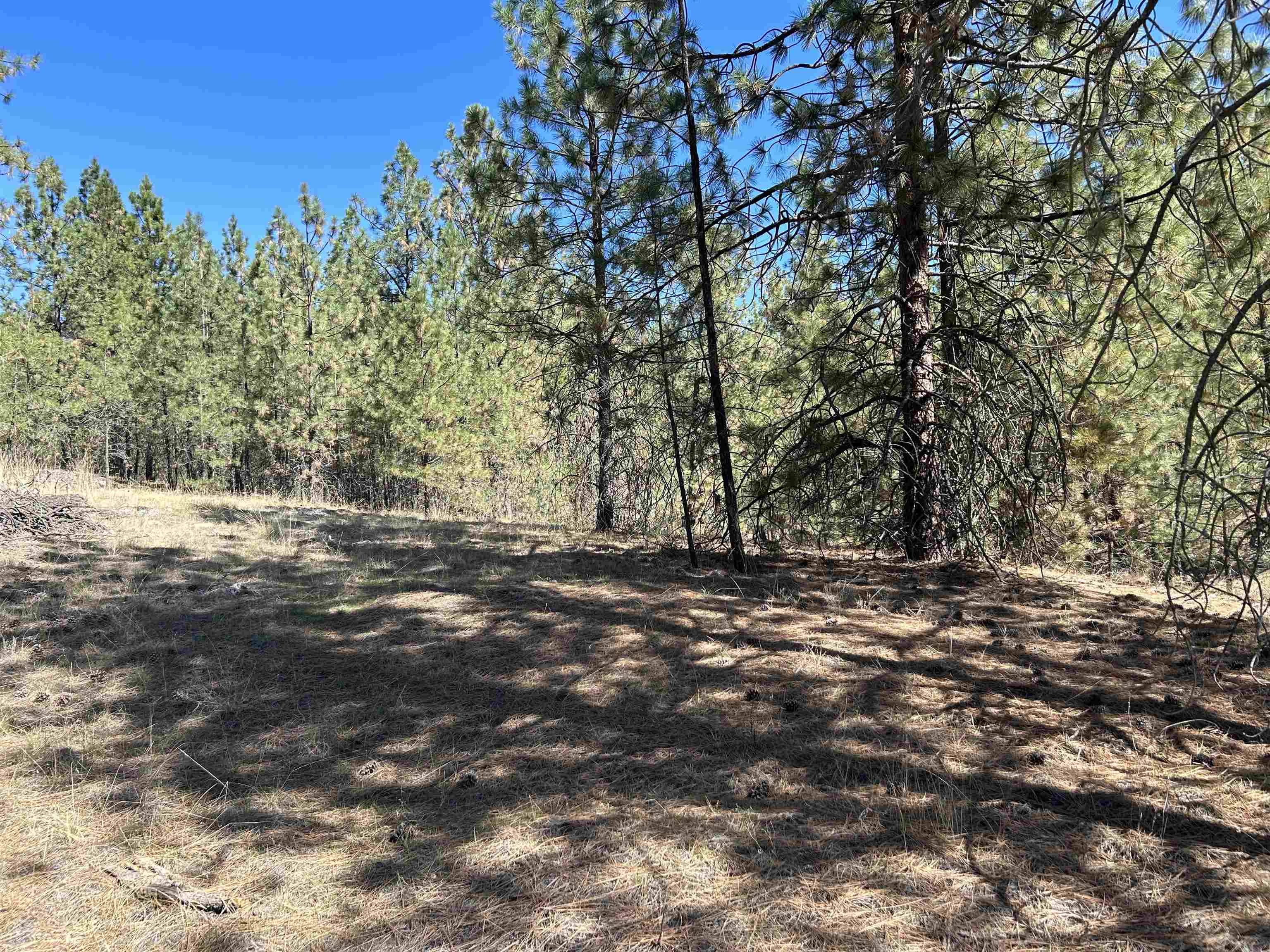 Nna Corkscrew Canyon Road Tumtum, WA 99034 - Photo 29 of 41