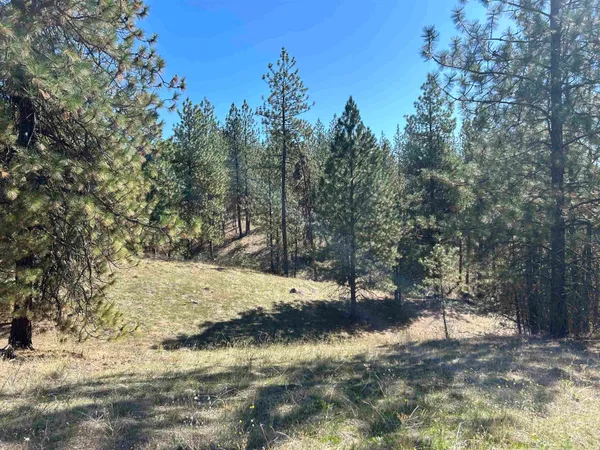 $139,000 | Nna Corkscrew Canyon Road, Tumtum, WA 99034