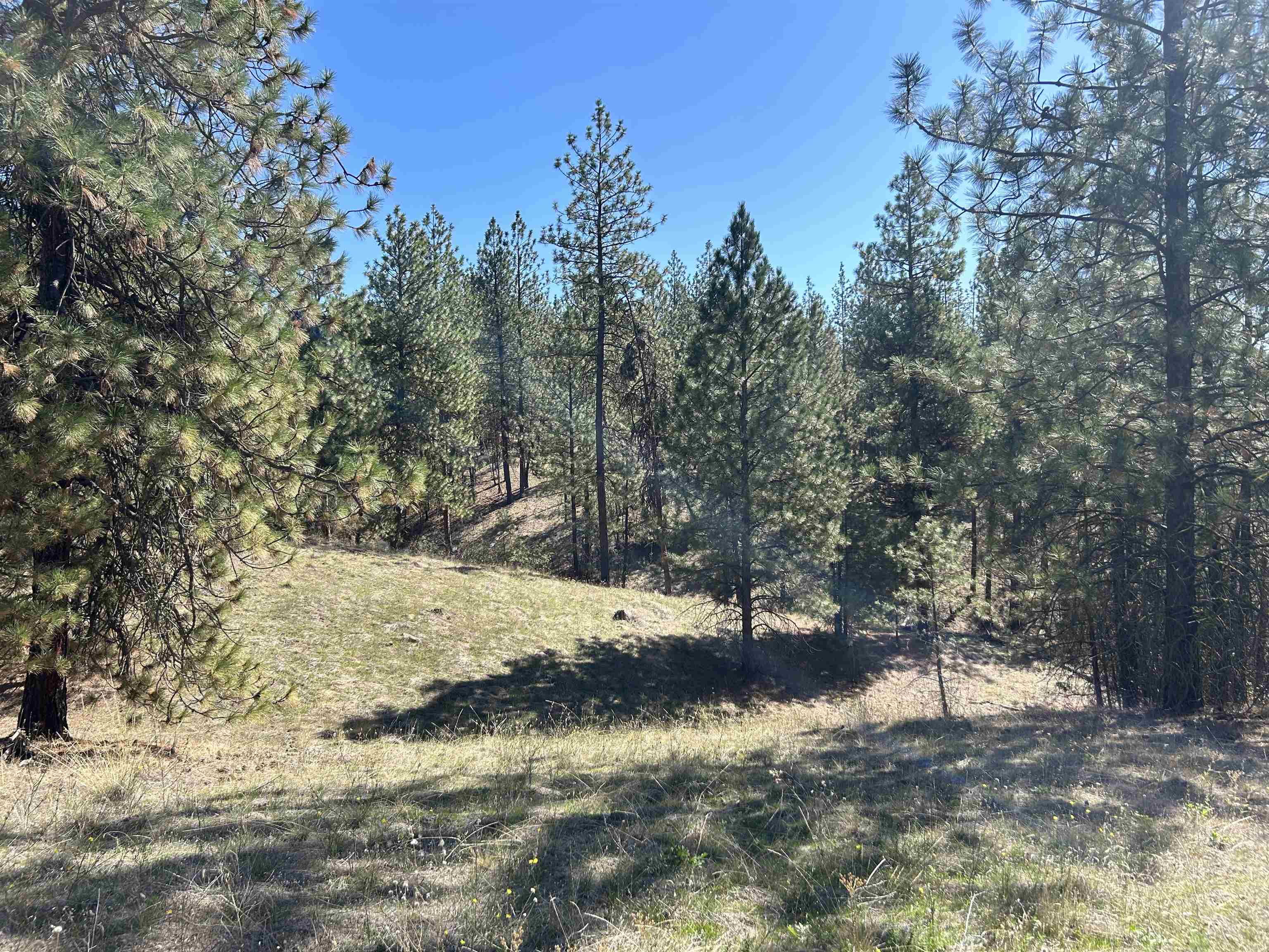 Nna Corkscrew Canyon Road Tumtum, WA 99034 - Photo 3 of 41