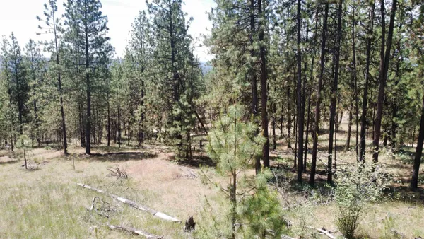 $139,000 | Nna Corkscrew Canyon Road, Tumtum, WA 99034