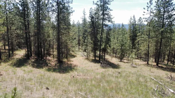 $139,000 | Nna Corkscrew Canyon Road, Tumtum, WA 99034